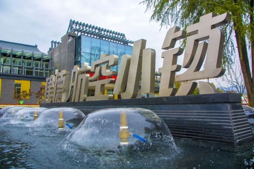 福利來襲！建德航空小鎮獲評國家4A級景區，免費溫泉等您來暢享