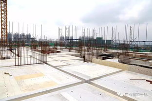 廣西建工一建來賓祥康苑項目質(zhì)量安全標(biāo)準(zhǔn)化施工圖集編制與應(yīng)用指南